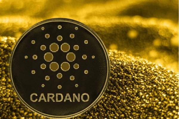 Binance &eacute;largit le trading de marge crois&eacute;e, retire certaines paires de crypto.
