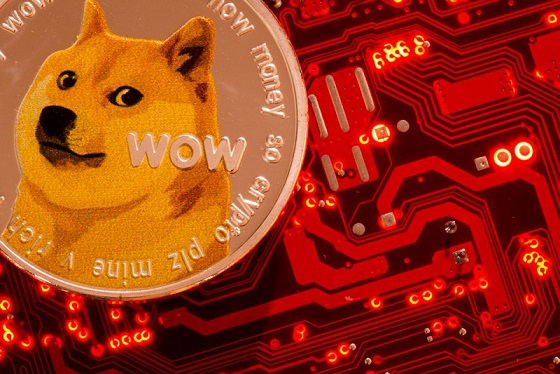 Le lancement du satellite DOGE-1 financé
